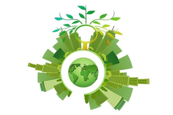 Sustainability Image